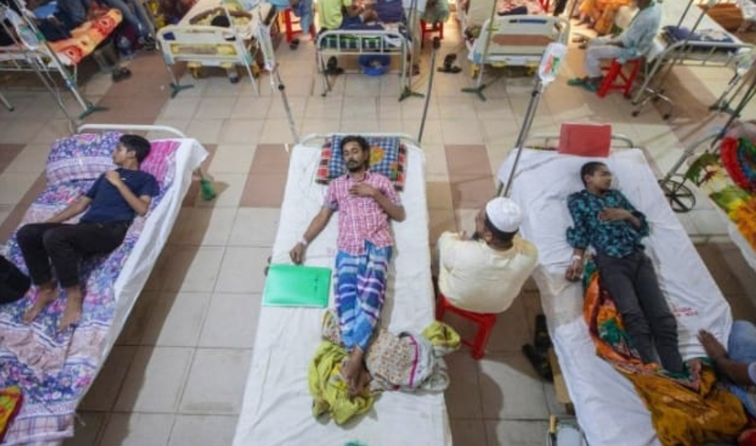 ডেঙ্গুতে ভয়াবহ পরিস্থিতি, বাংলাদেশে টিকা পরীক্ষার প্রস্তুতি, চার ধরনেই বাড়ছে সংক্রমণের ঝুঁকি