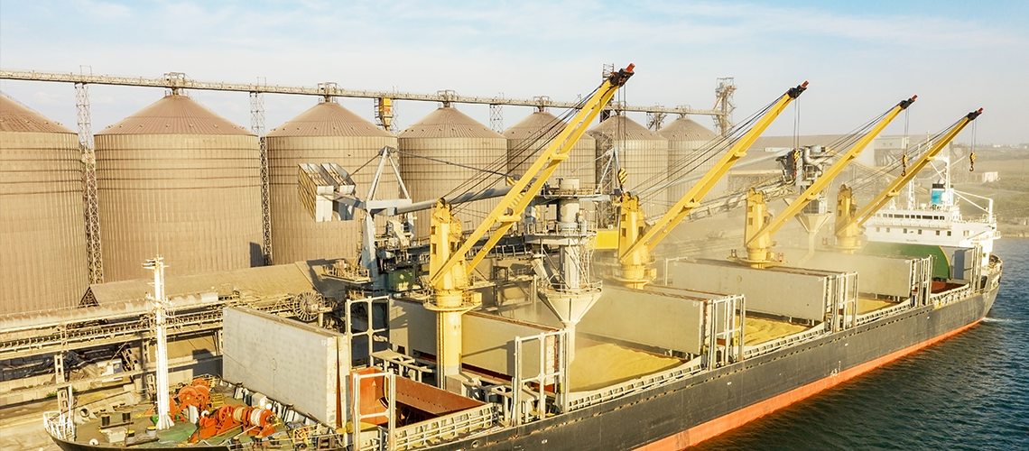 Russia Targets Grain Ships, Raising Global Food Security Concerns