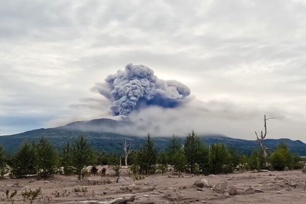 Powerful Earthquakes Strike Russia’s Pacific Coast, Tsunami Warning Issued Across the Region