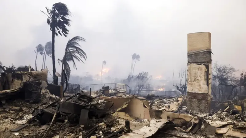 Devastating Wildfire in Los Angeles, California: 11.6 Square Kilometers Affected, 500,000 People Cut Off from Communication