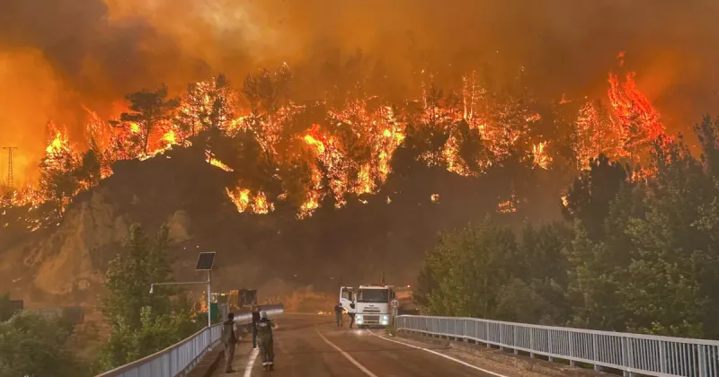 Fierce Wildfires in Turkey Escalate, National Alert Issued; Thousands Evacuated Safely in Bursa