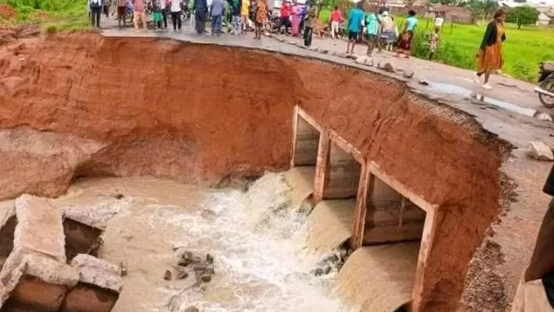 নাইজেরিয়ায় ভয়াবহ বন্যায় ভেঙে পড়ল আগবারহো–উগেল্লি সড়কের অংশ