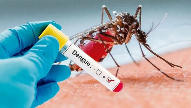 Common People Discriminated Against in Dengue Prevention Efforts in Bangladesh Roundtable Discussion Highlights