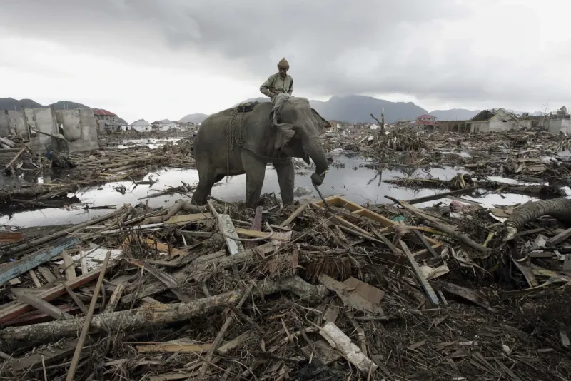 20th Anniversary of the 2004 Indian Ocean Tsunami: Prayers in Remembrance of 230,000 Lives Lost