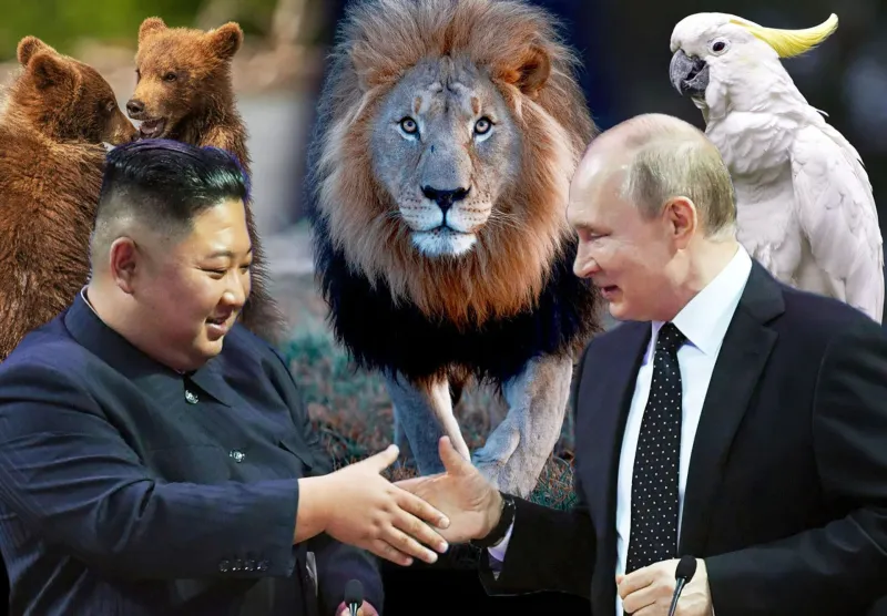 Putin Gifts Lion and Other Animals to North Korean Leader Kim Jong Un