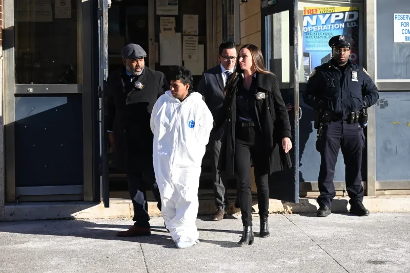 Woman Dies in Tragic Subway Fire in New York; Suspect Arrested