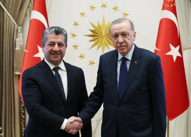 Erdogan Says Turkey Working to Stabilize Syria and Ensure Security