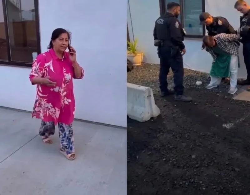 বাড়িতে বার্বিকিউ করায় ভাড়াটিয়াকে পাথর ছুড়ে তাড়িয়ে দেওয়ার ভিডিও ভাইরাল কানাডায়
