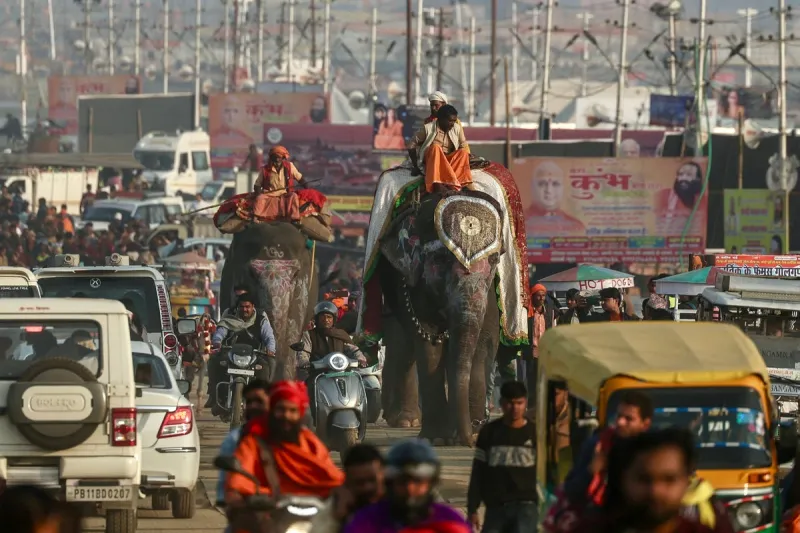 Three killed, 35 seriously injured in Kerala temple elephant rampage