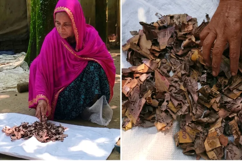 ১০ বছরের কষ্টের সঞ্চয় ২ লাখ টাকা, জর্দার কৌটা খুলেই মাথায় হাত