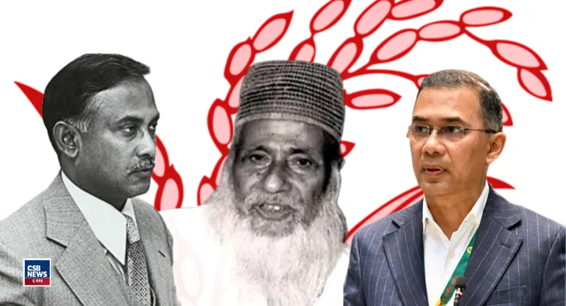 ধানের শীষ: কৃষকের প্রতীক না রাজনৈতিক উত্তরাধিকার?