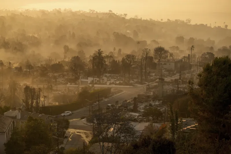 Incomplete Implementation of Fire-Resistant Material Removal in California Increases Wildfire Risk