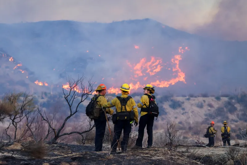New Wildfire Burns 38 Square Kilometers in Los Angeles, 31,000 People Evacuated