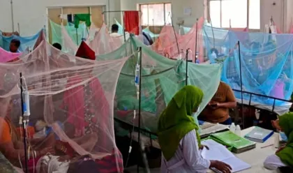 Bangladesh Dengue Death Toll Reaches 281, Third-Highest in 26 Years
