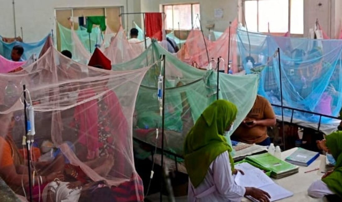 Bangladesh Dengue Death Toll Reaches 281, Third-Highest in 26 Years
