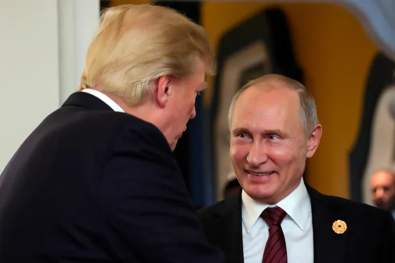 Russian President Vladimir Putin has proposed granting the United States access to Ukraine's rare mineral resources,