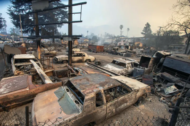 Wildfires in Los Angeles Destroy 10,000 Homes and Claim 10 Lives