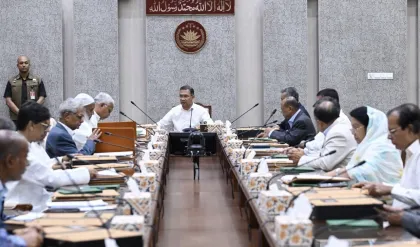 সৌরবিদ্যুতের ব্যবহার বাড়ানো ও উন্নয়ন প্রকল্প দ্রুত বাস্তবায়নে সরকারের গুরুত্ব