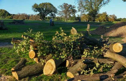 Trump’s Golf Course Renovation Plan Faces Legal Challenges in Washington, D.C.